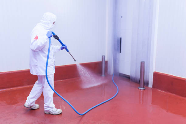 Best Sidewalk and Walkway Cleaning  in Little Flock, AR